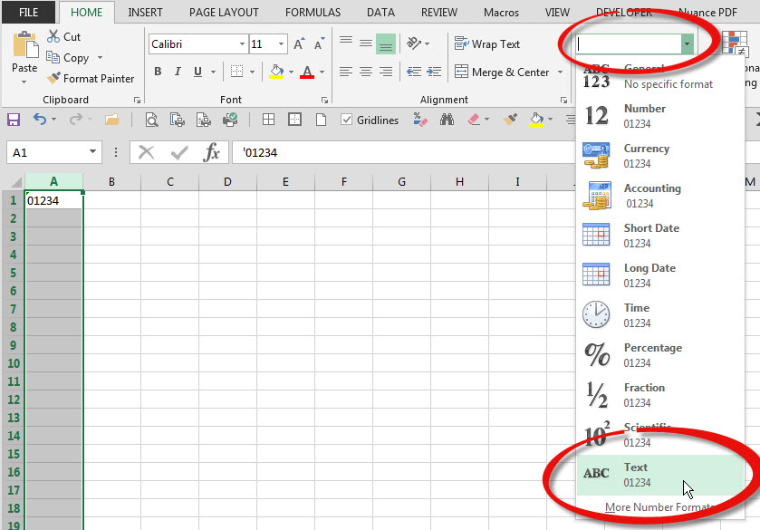 Inserting Values That Start With 0 A4 Accounting