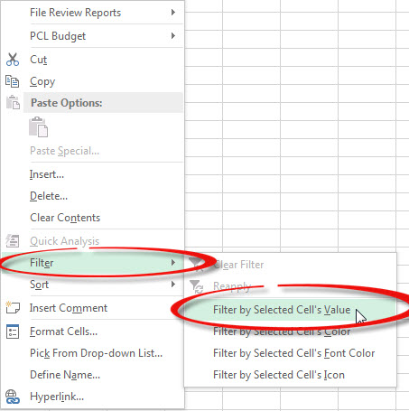 Excel Filter Trick Accounting